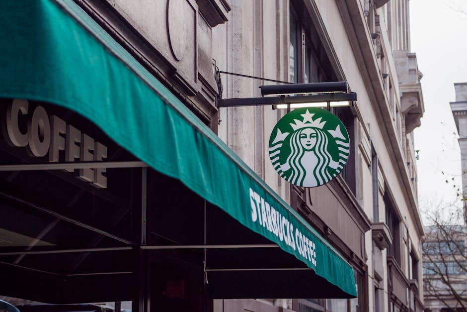 Ready to Replicate? Your Blueprint for Franchising Your Business